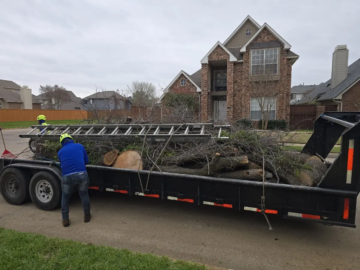 Expert Tree Fertilization with proper safety equipment in Boons Camp